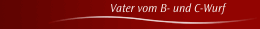 Vater vom B- und C-Wurf
