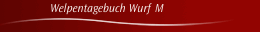 Welpentagebuch Wurf M